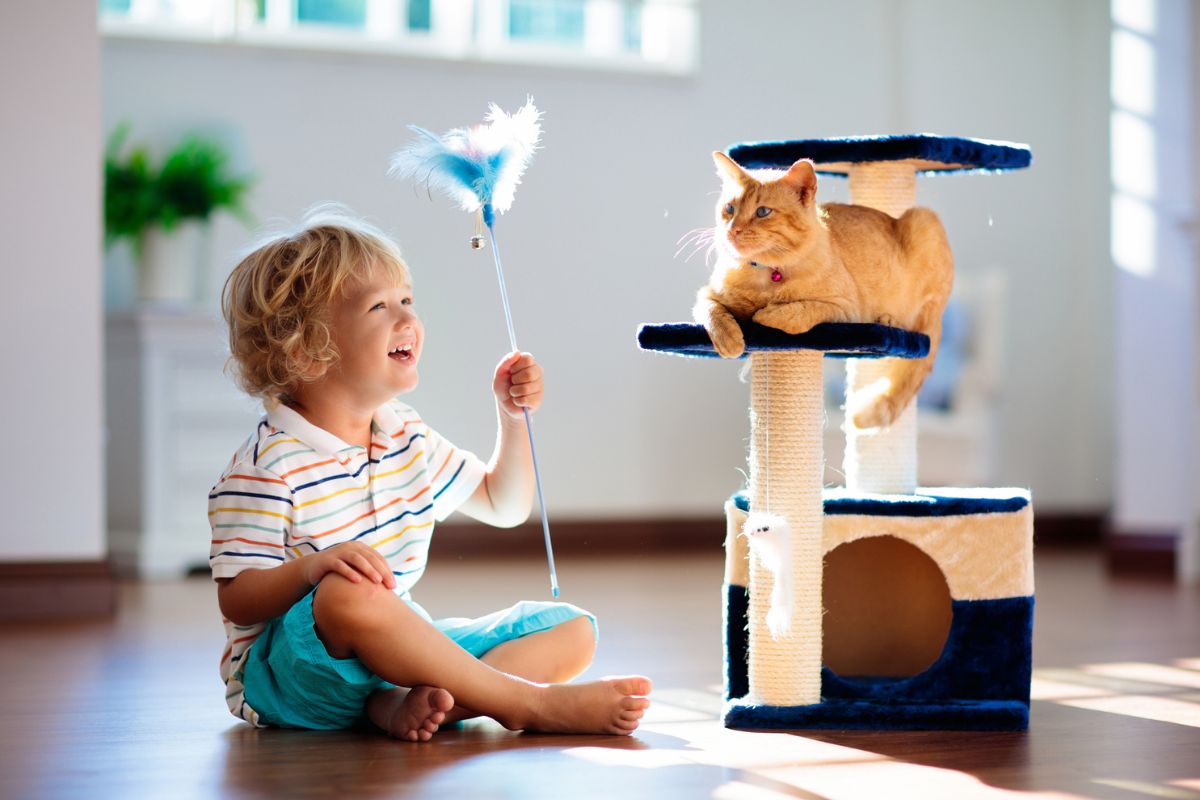 Child playing with kitten