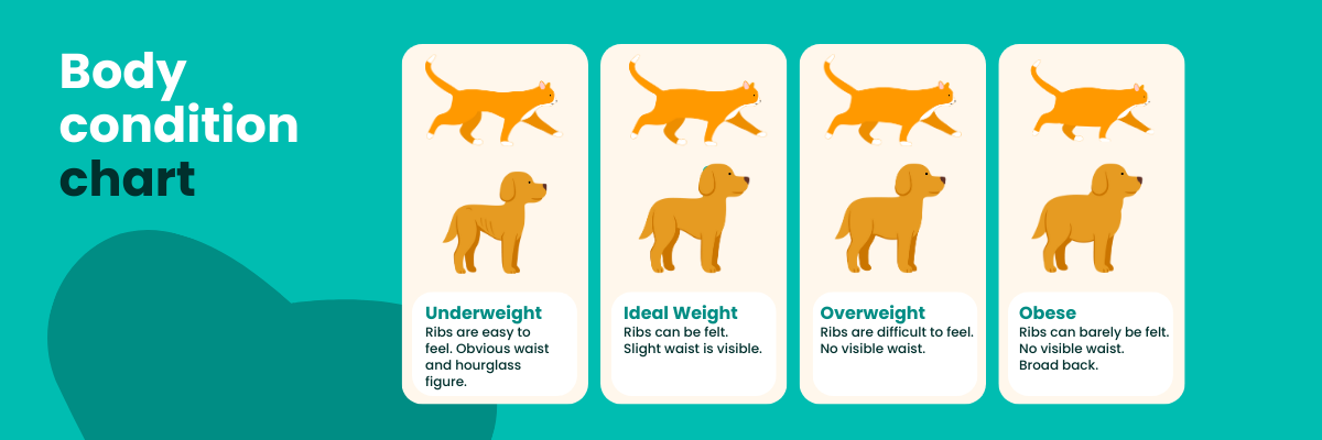 Pet body condition chart