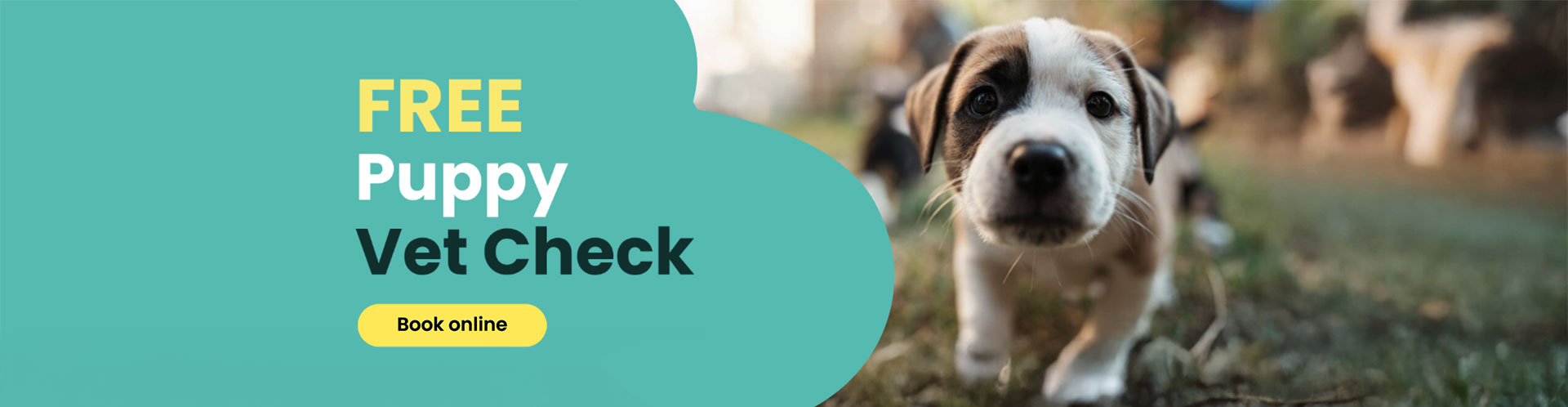 Free Puppy Banner Desktop