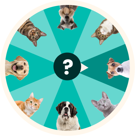 breed-guides-quiz-2