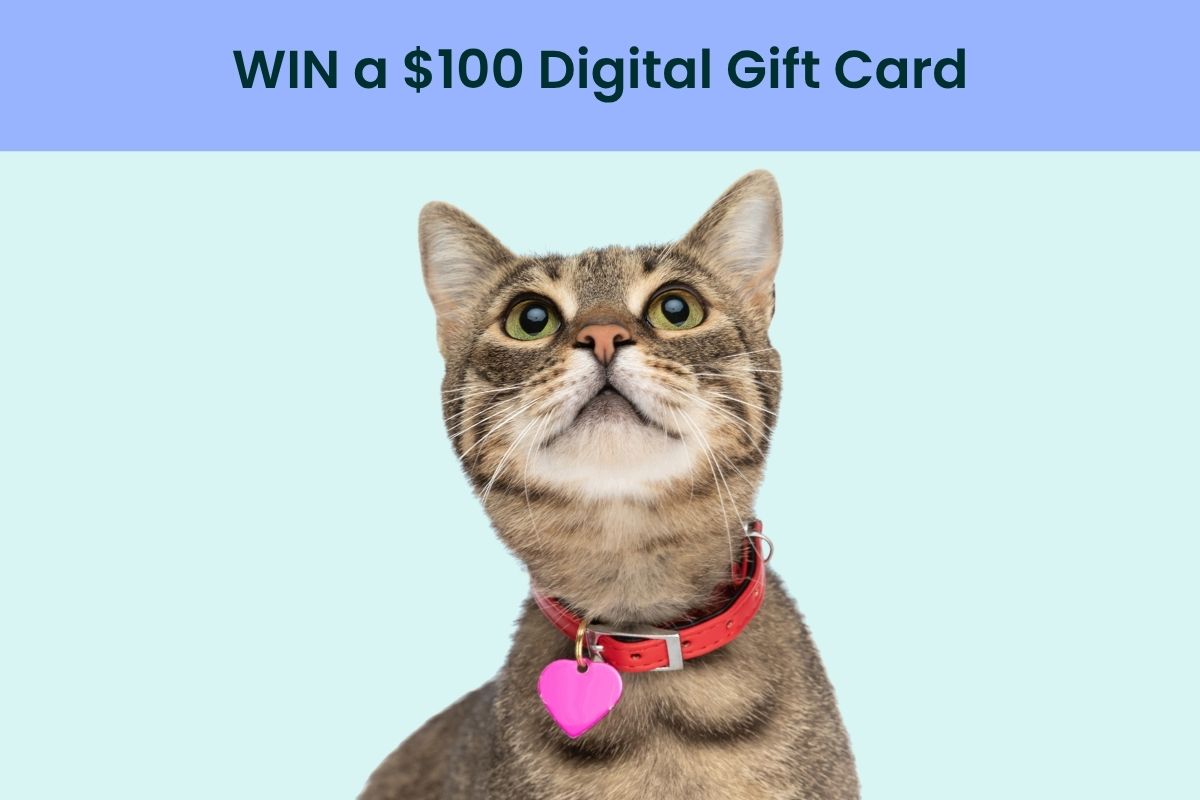 Win a $100 digital gift card