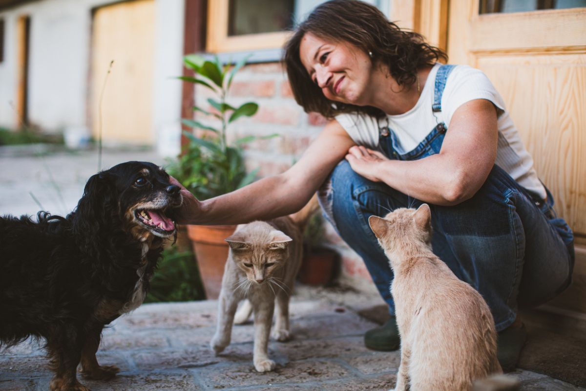 Lady-outside-cats-dog Lady sitting outside patting her dog and cats